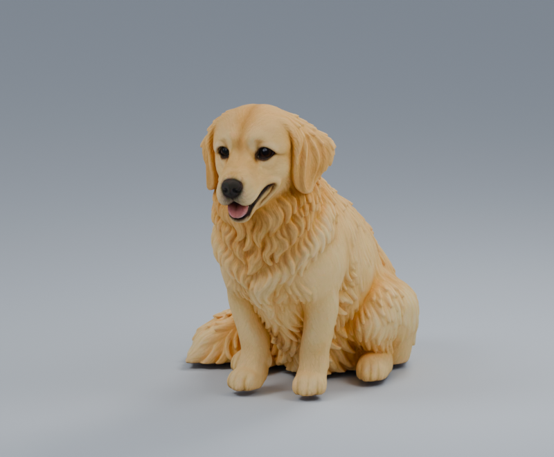 Pet portrait studio render